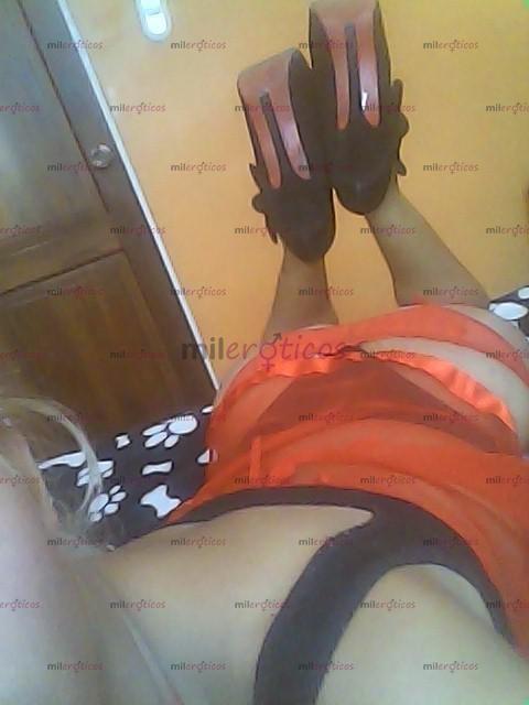 FOTOS DE 3234472464 CHICA TRANS HERMOSA EN LA CIUDAD