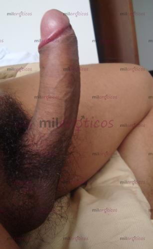 Lechita caliente Lechita caliente