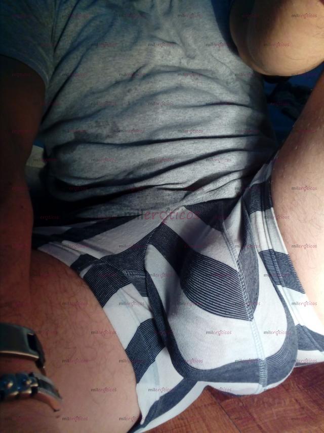 FOTOS DE HORSE HUNG, VEINTIUN CENTÍMETROS,2 MANOS CABEZA LIBRE, EXC TRATO, AMABLE