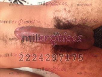 FOTOS DE YA EN TU CIUDAD MULATO VERGON DE 23 CM ACTIVO FULL LECHOSO 2224297175