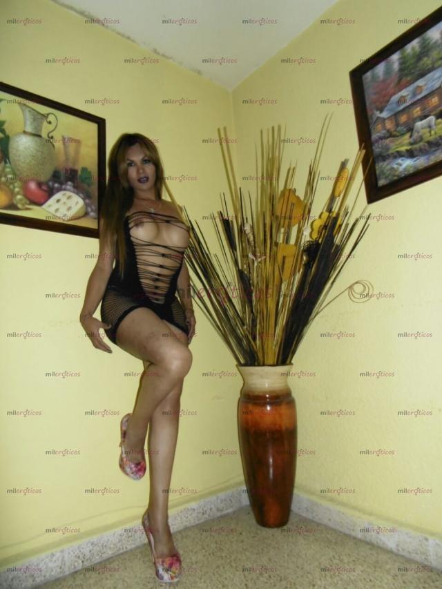 FOTOS DE TRANSEXUAL DE ALTO IMPACTO,GOCEMOS A FULL