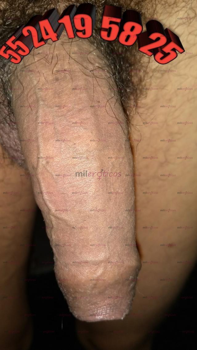 FOTOS DE VERGOTOTOTA A BUEN PRECIO ¡¡ RUDO O TIERNO