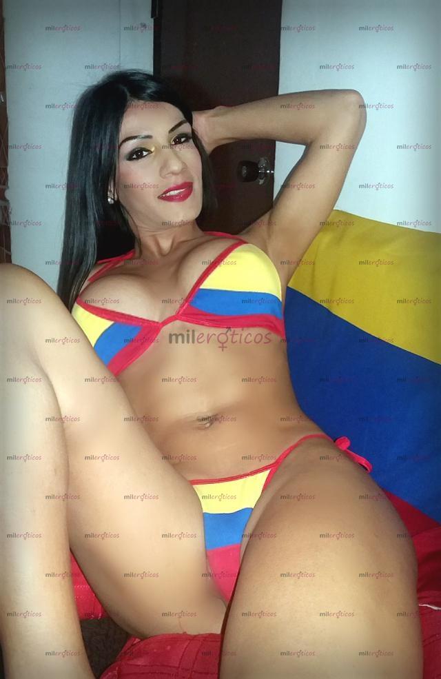 FOTOS DE CHANEL TU PERRITA DE RAZA NO CAMBIES CALIDAD POR ECONOMIA 3107928709