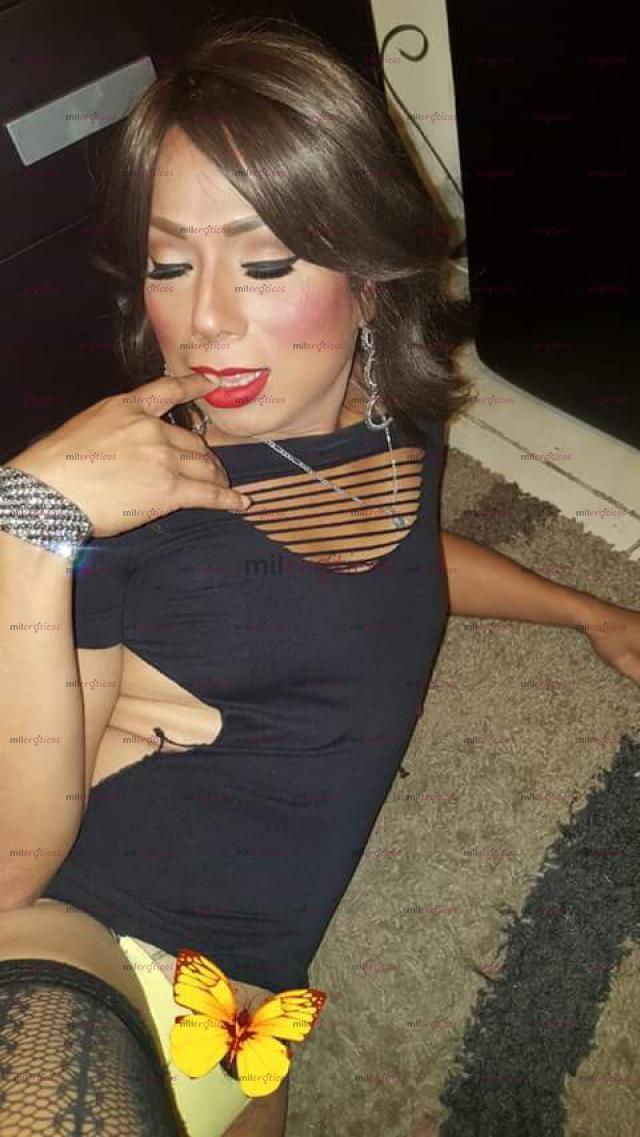 FOTOS DE ME SACAS LA LECHE O TE LA SACO, TU ELIGES. EN EL PASO TEXAS DEL 14 AL 17 DE MAYO