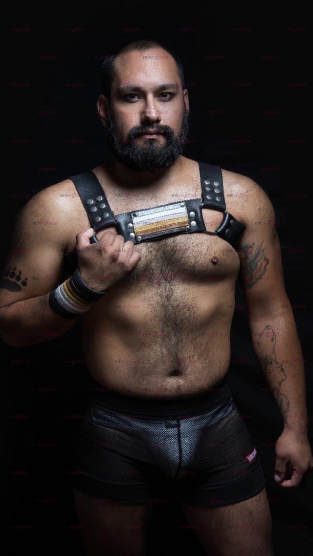 Fotos de Barbón velludo
