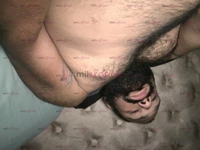 Fotos de Barbón velludo