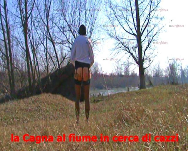 Fotos de Slave passivo cerca padrone