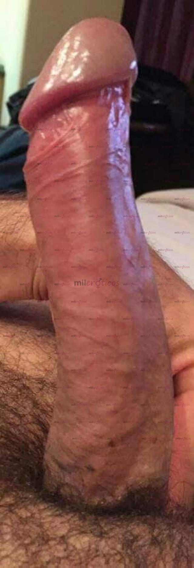 FOTOS DE DISPONIBLE PARA PAREJAS HMH SINGLES SWINGERS VOYERISTAS TRANS CUANDO QUIERAS