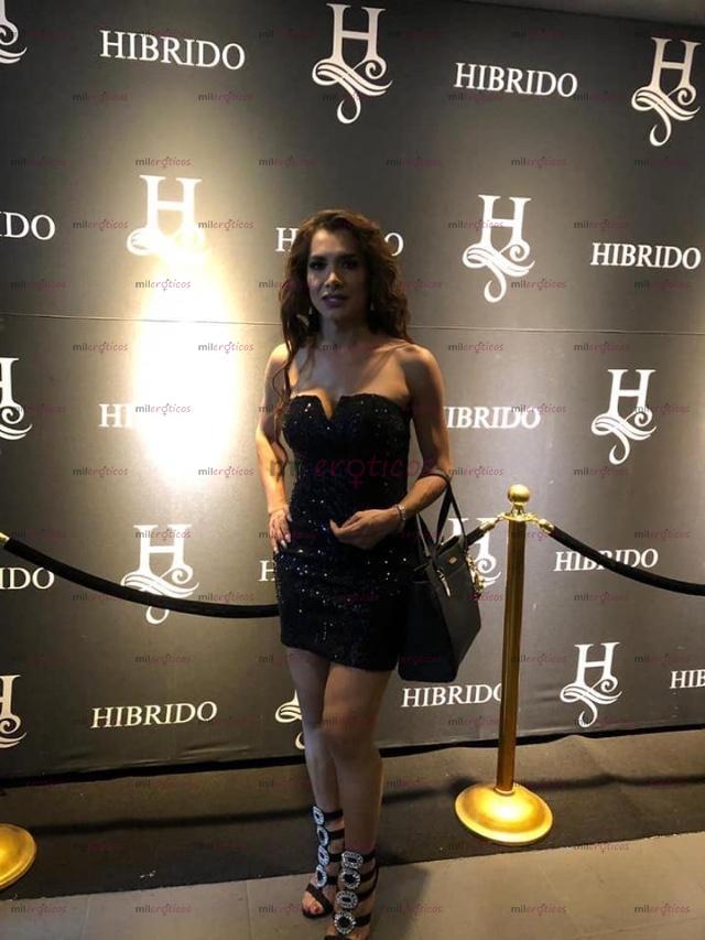 FOTOS DE EXUBERANTE Y SEXY TRANSEXUAL EN TU CIUDAD