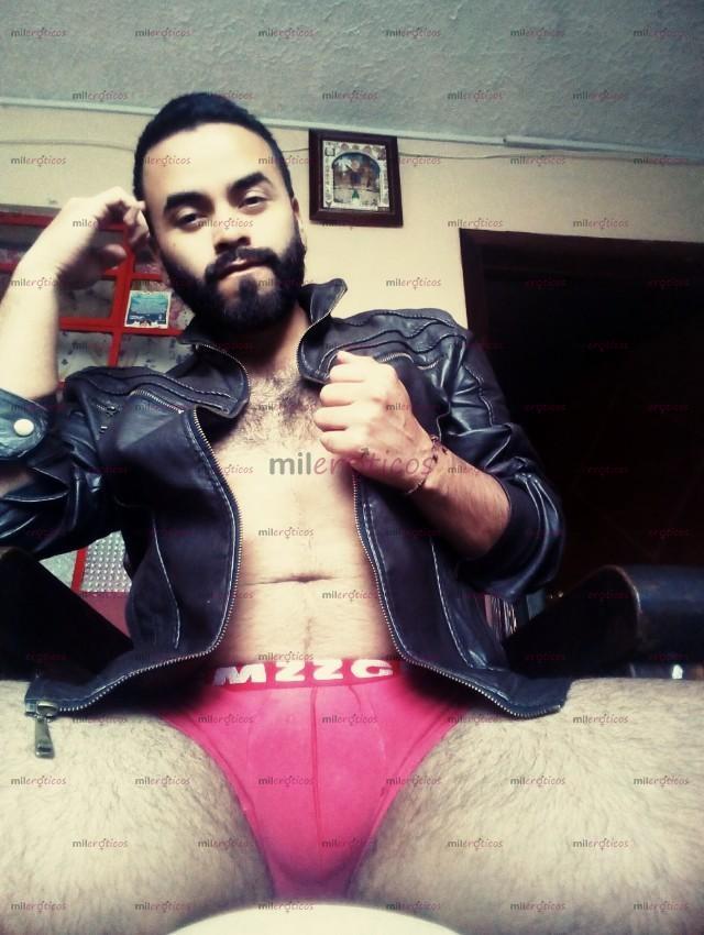 Fotos de Harry Joven versátil , velludo serio 3023812469