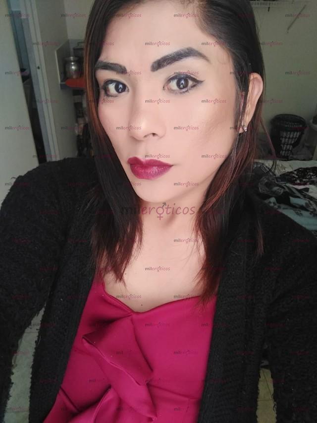 3114661169 - TRANS VERSÁTIL SARITA DE PASO dispuesta 3114661169 - TRANS VERSÁTIL SARITA DE PASO dispuesta