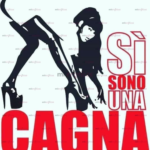 Fotos de TRAVESTITA TROIA PORCA PER TUTTE LE TUE FANTASIE