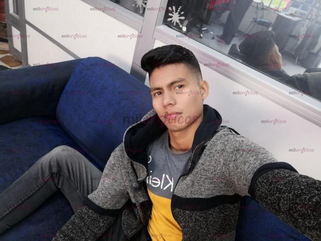 FOTOS DE SERIO VERGON100% VERSÁTIL LECHERO 3224426992