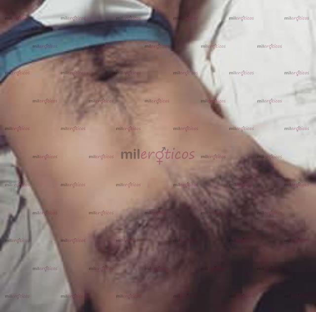 Fotos de HARRY VELLUDO SERIO MORBOSO COMPLACIENTE 3023812469