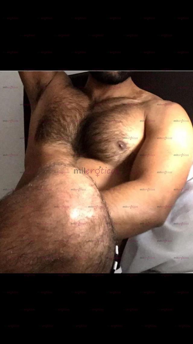 Fotos de HARRY VELLUDO SERIO MORBOSO COMPLACIENTE 3023812469
