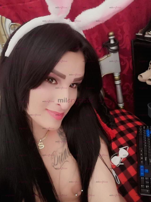 Fotos de PUTA TRANs INSACIABLE PERVERSA Y BIEN ZORRA SOY TU PERRA VEN HAZME TUYA virtual