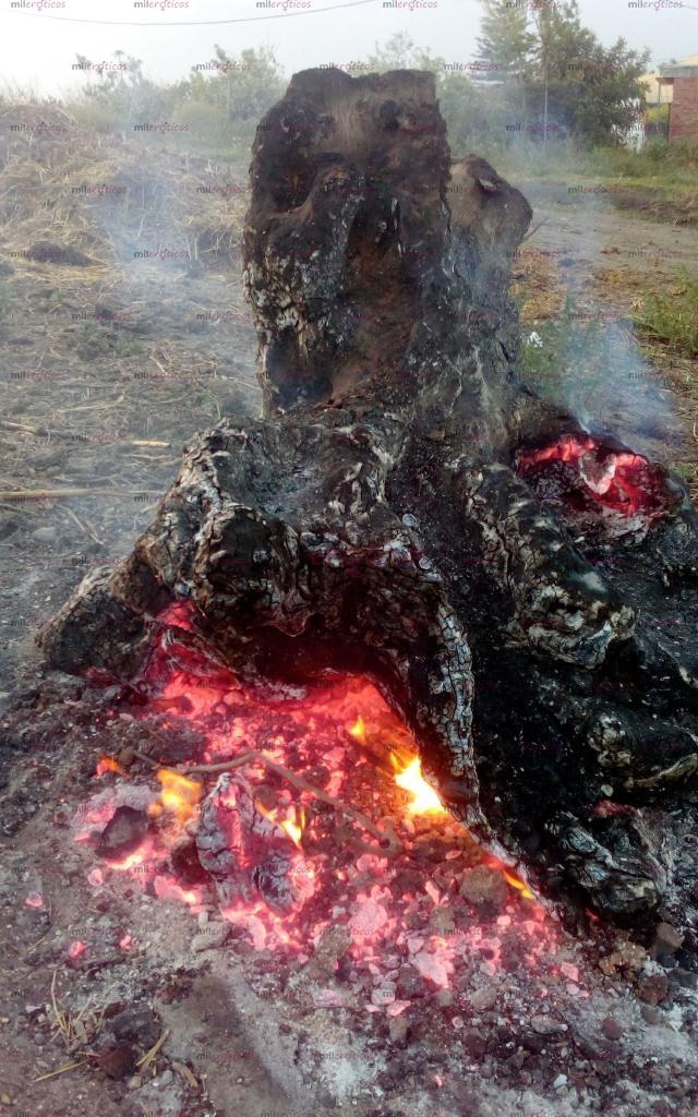 Fotos de Soltero apasionado para mujer decidida a disfrutar