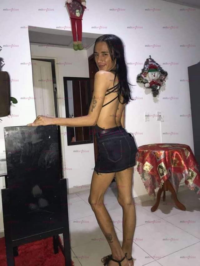 Fotos de Llegó tu chica trans dispuesta a todo en la cama