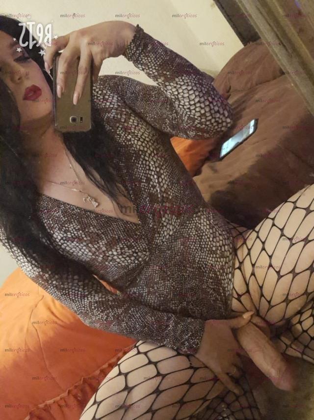 FOTOS DE MI VERGA ES REAL 21 CM GRANDE Y GRUESA CUENTO CON LUGAR