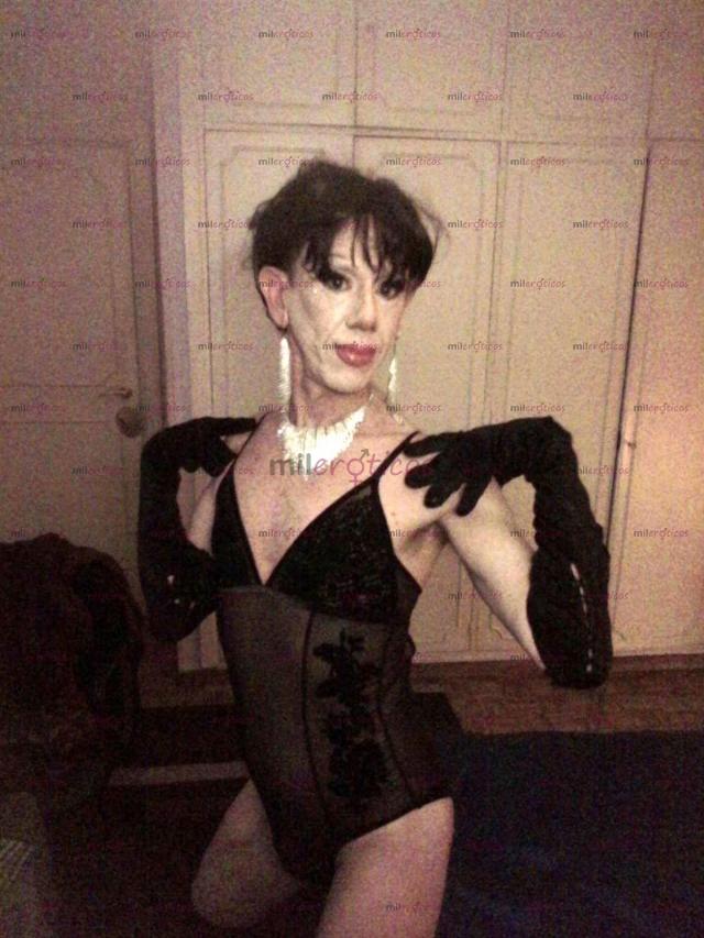 Fotos de Travsex Transex Shemale Ladyboy Crossdresser Drag Queen ninetta made in italy