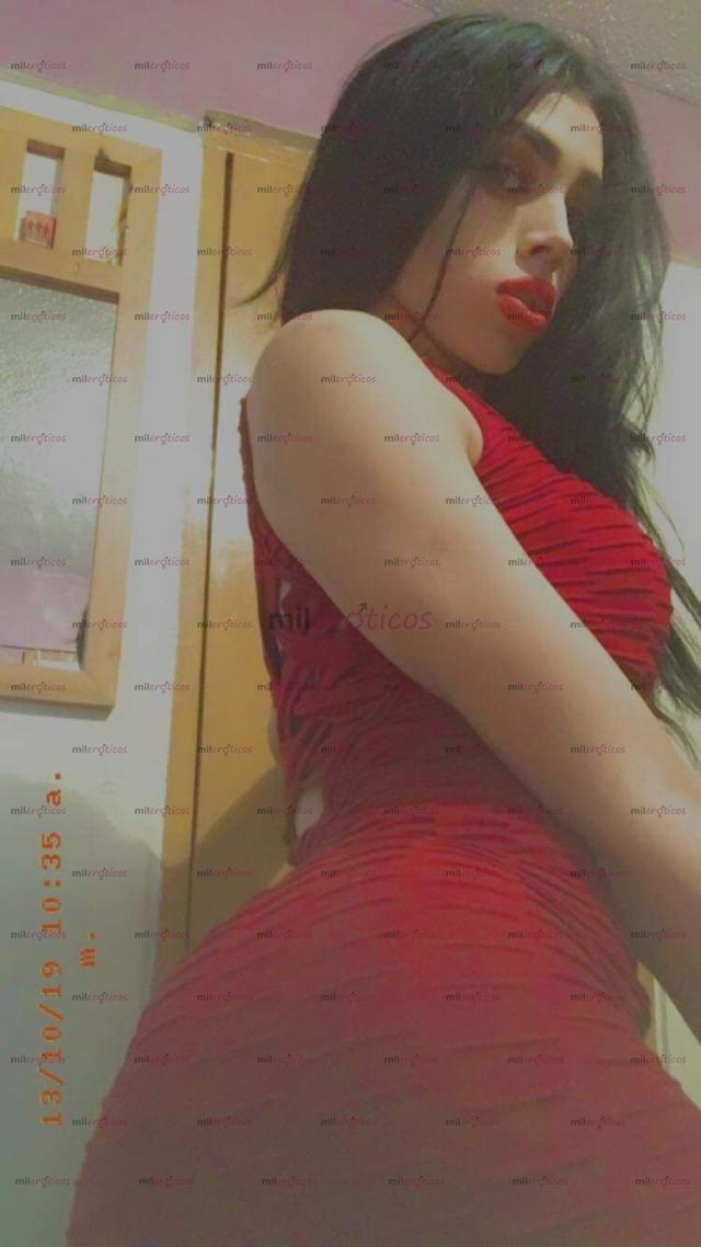 FOTOS DE SEXOOO. SEXOOO. SEXO. SEXOOO. ME DAS !? O TE DOY !? LA TRANNY VIIP!!!