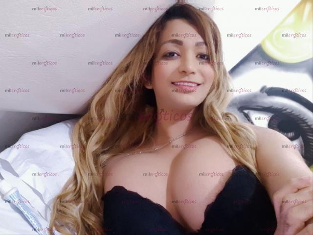 Fotos de SOFIA EXPERTA EN PRIMERIZOS TRATO DE NOVIOS VERGONA LECHERA 24H 3005699189