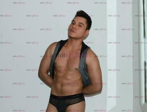 Fotos de Novedad Chico canario latino XL complaciente 25 años