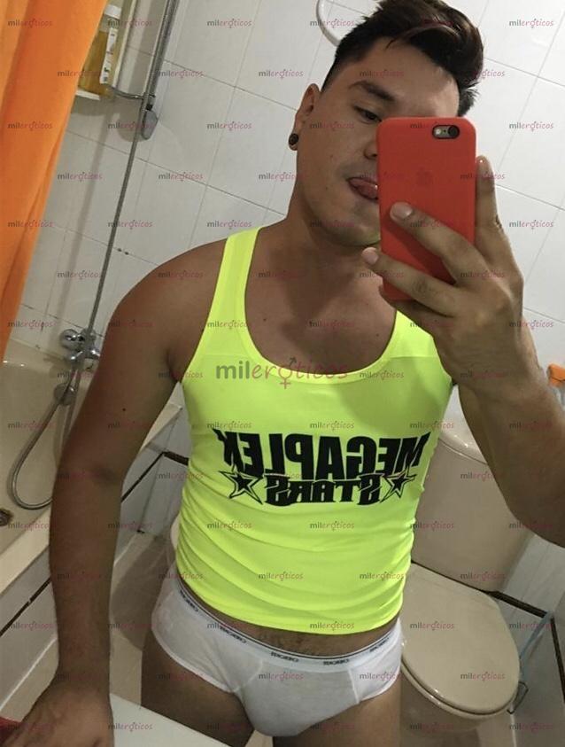 Fotos de Novedad Chico canario latino XL complaciente 25 años