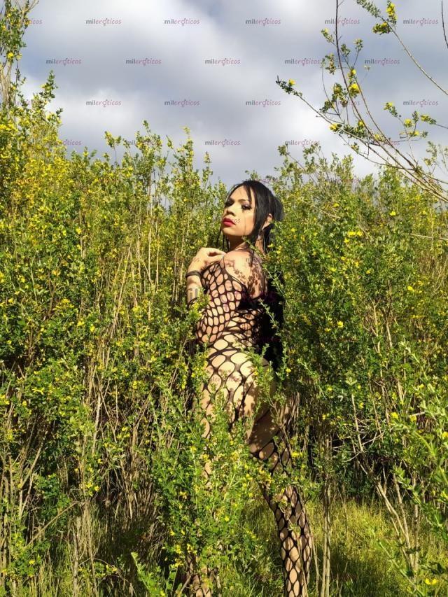 FOTOS DE BIENVENIDO BEBE TENGO APTO TOTALMENTE BB FULL COMPLACIENTE Y ARRECHA