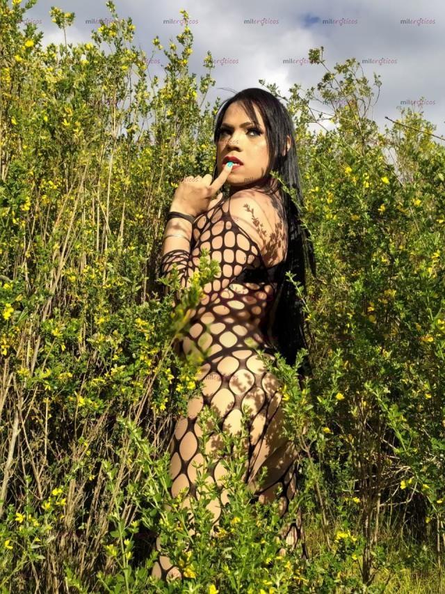 FOTOS DE BIENVENIDO BEBE TENGO APTO TOTALMENTE BB FULL COMPLACIENTE Y ARRECHA