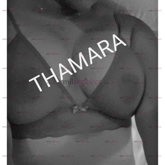 FOTOS DE THAMARA, DISPONIBLE 24HRS, COMPLACIENTE Y APASIONADA CON LUGAR