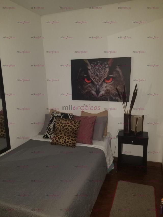 FOTOS DE CASA LUJOSA PARA SCORT INDEPENDIENTES EN BOGOTA