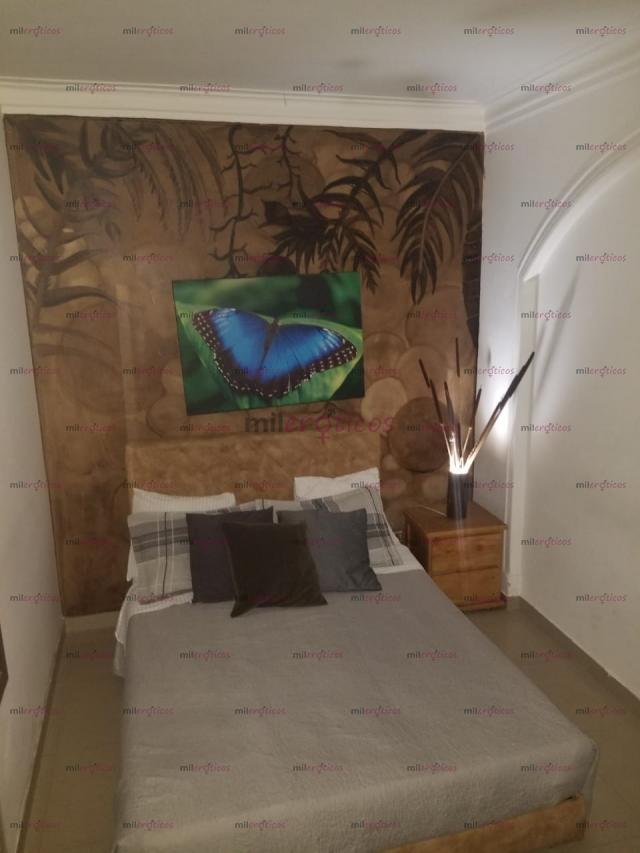 FOTOS DE HABITACIONES AMOBLADAS PARA SCORT IDEPENDIENTES EN BOGOTA