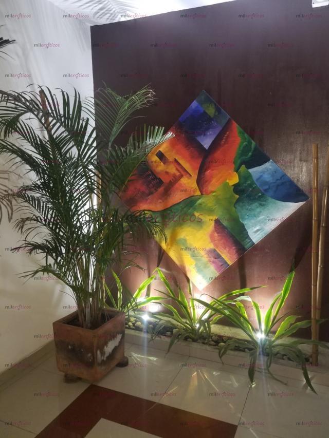 FOTOS DE CASA LUJOSA PARA SCORT INDEPENDIENTES AHORA EN GALERÍAS BOGOTA