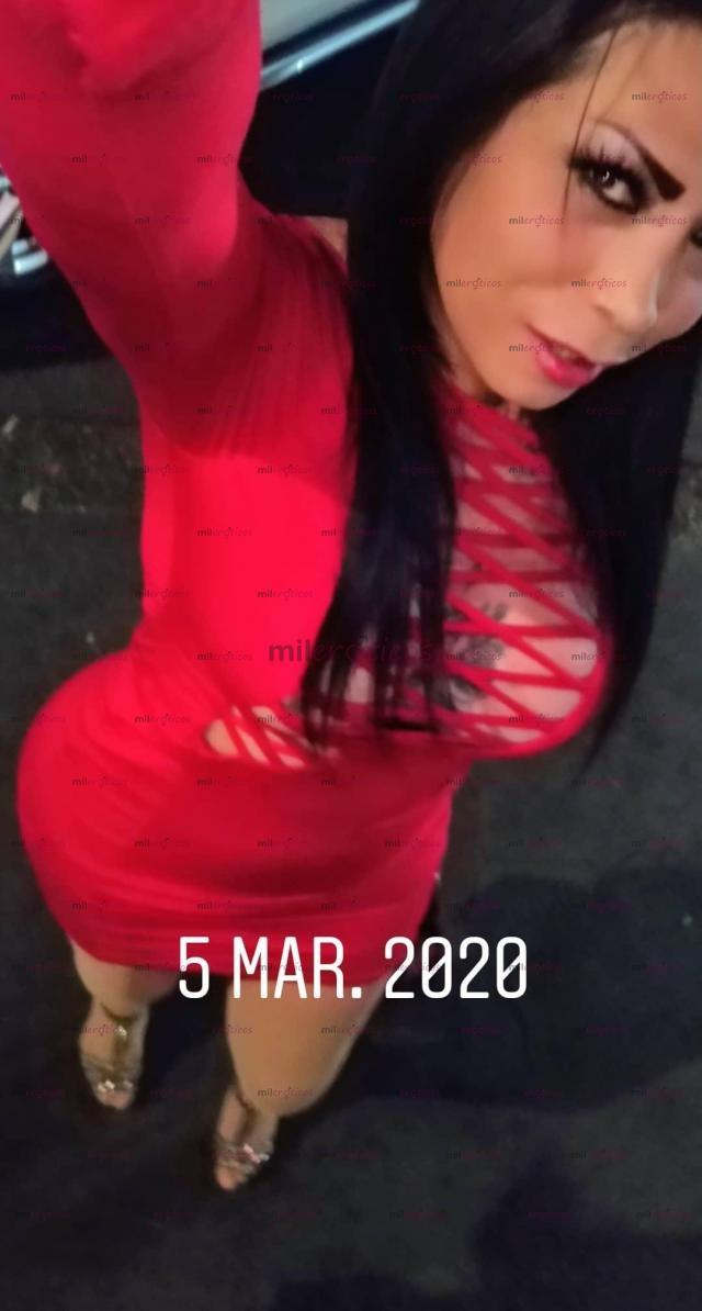 FOTOS DE LLENADORA DE PLASER TRANS INTER 100%ACTIVA E INTERACTIVA