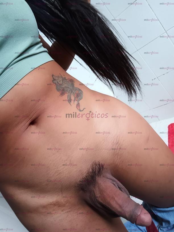 FOTOS DE AQUI TU AMA O SUMISA, COMPLACIENTE Y ENTRONA DULCE 19CM LLEGADA A LA CD