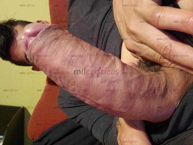 FOTOS DE VERGA PARA ROMPER CULOS 20CENTIMETROS REALES KO FAKE