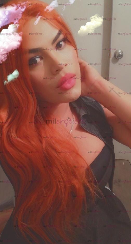 FOTOS DE SI DISPONIBLE SI DISPONIBLE SI DISPONIBLE SI DISPONIBLE