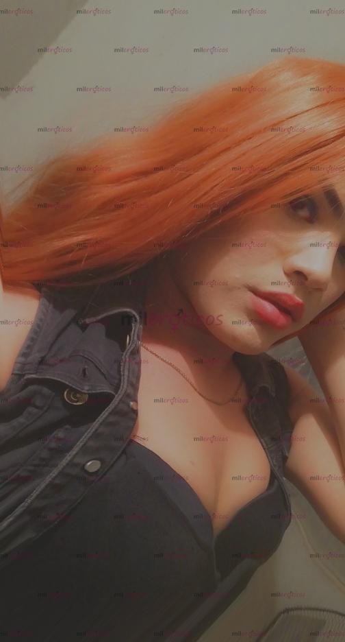 FOTOS DE SI DISPONIBLE SI DISPONIBLE SI DISPONIBLE SI DISPONIBLE