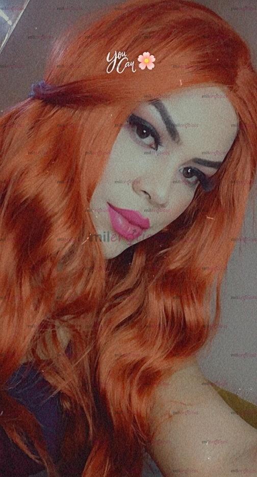 FOTOS DE SI DISPONIBLE SI DISPONIBLE SI DISPONIBLE SI DISPONIBLE