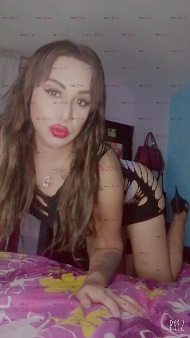 FOTOS DE TRANS SUPER CACHONDA MUI PUTITA ÍNTER LECHUDA