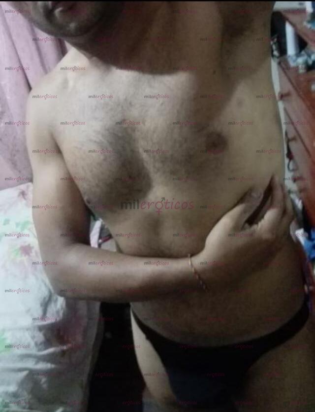 FOTOS DE SANTIAGO DOMINANTE LECHERO VERGON 22CM. SITIO PRIVADO DISCRETO