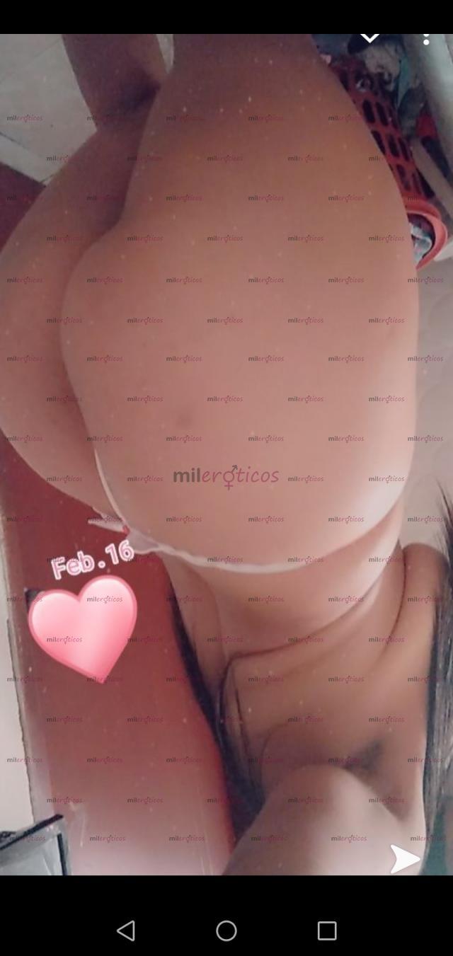 3015781623 - HOLA MIS AMORES SOY DANIELA DE NUEVO EN MONTERÍA DISPONIBLE  LAS 24 HORAS DISP (20081715) - MILERÓTICOS