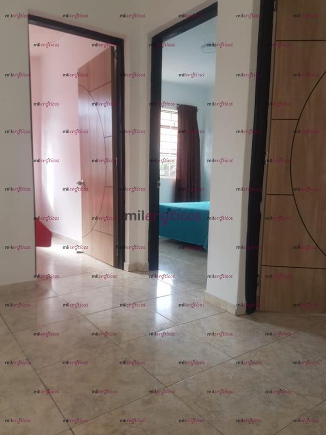 FOTOS DE BUSCO CHICAS INDEPENDIENTES PARA COMPARTIR APARTAMENTO EN GALERIAS