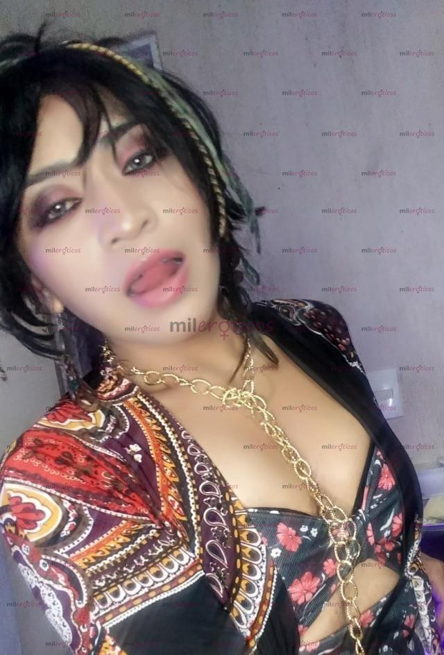 FOTOS DE $$$$ CHICA TRANS NINFOMANA Y MASAJISTA LISTA YA!!!$$$$