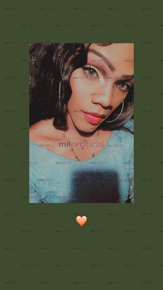 FOTOS DE TRANS MORENA FEMENINA $$SERVICIOS $$ ACOMPAÑANTE