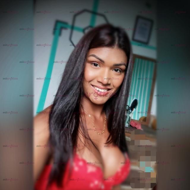 Fotos de Travesti Morena sexy. India tesuda louca por sexo disponivel 24 horas