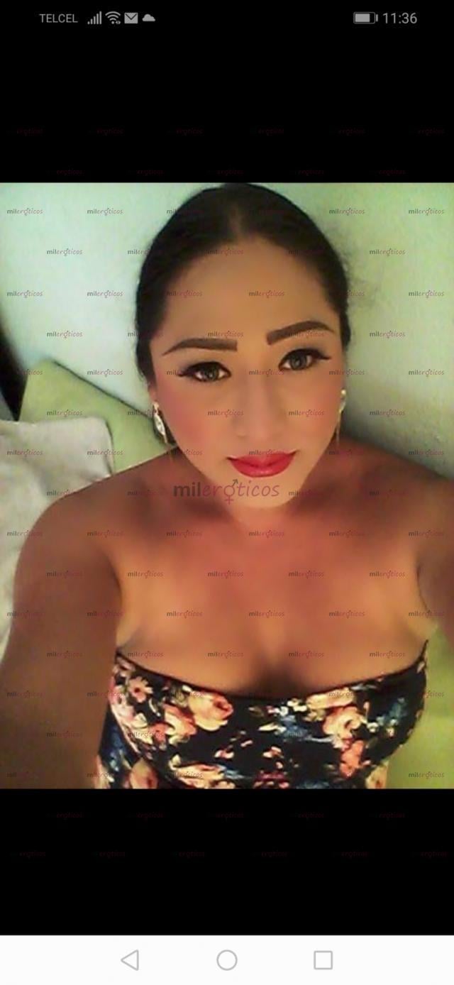 9331177258 - CHICA MUY CALIENTE PARA CHUPAR TU PENE Y VAÑARME MI CARITA  CONTU LECHITA (20535149) - MILERÓTICOS