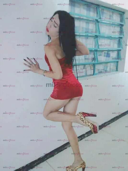 FOTOS DE POR PRIMERA VEZ EN MEDELLIN NUEVO NUMERO TU DELGADA BLANQUITA MICHELLE QUIROZ