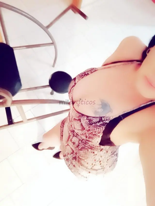 Amara nuevamente vina del mar vip full una de las mejores en su genero transexual te invito a pasar un exquisito momento colmado de fuego pasion y mor...